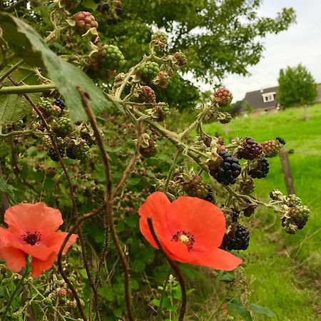 Bed&Breakfast de Bosakker Epse Buitenkant foto