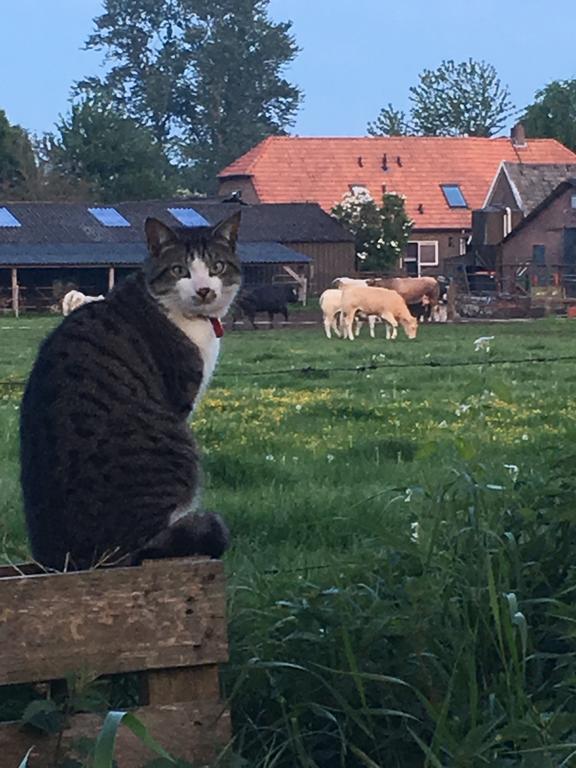 Bed&Breakfast de Bosakker Epse Buitenkant foto