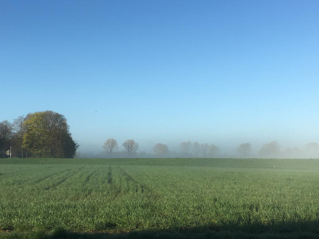 Bed&Breakfast de Bosakker Epse Buitenkant foto